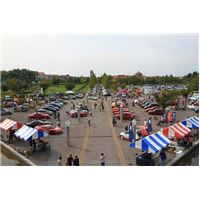 AICTRICO1012 (52).jpg